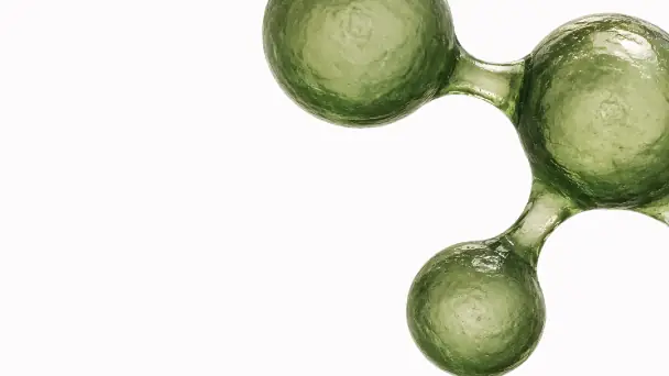 Three-dimensional model of green spherical molecules joined by bonds on a white background